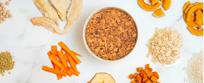 Todo lo que debes saber sobre las dietas deshidratadas para perros