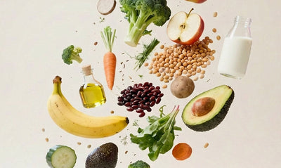 El poder de los prebióticos y probióticos en la nutrición natural de perros y gatos