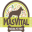 masvital.net